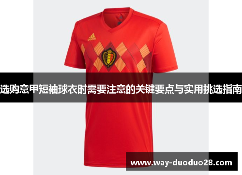 选购意甲短袖球衣时需要注意的关键要点与实用挑选指南