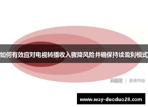 如何有效应对电视转播收入骤降风险并确保持续盈利模式