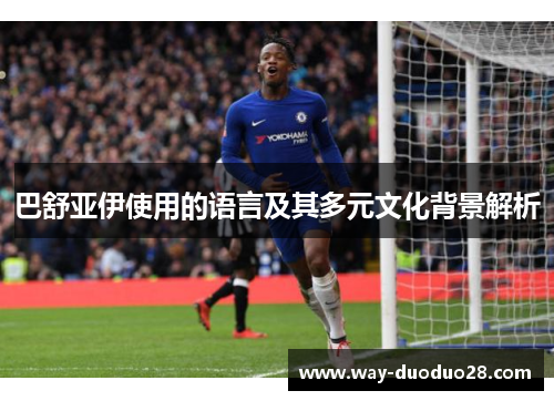 巴舒亚伊使用的语言及其多元文化背景解析