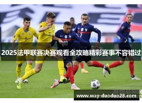 2025法甲联赛决赛观看全攻略精彩赛事不容错过 2025法甲联赛决赛观看全攻略精彩赛事不容错过
