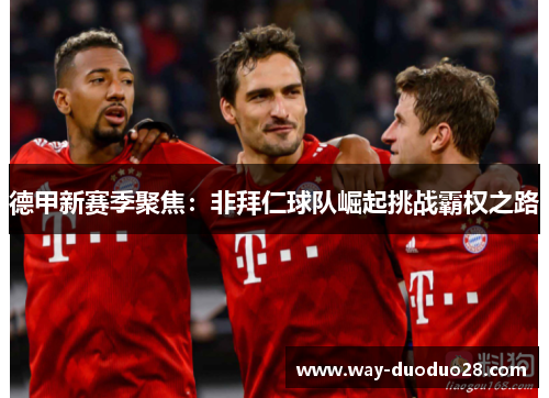 德甲新赛季聚焦：非拜仁球队崛起挑战霸权之路