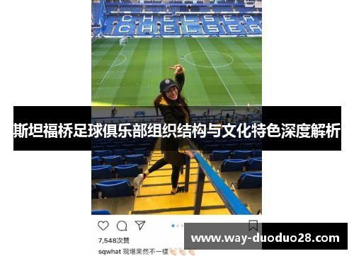 斯坦福桥足球俱乐部组织结构与文化特色深度解析 斯坦福桥足球俱乐部组织结构与文化特色深度解析