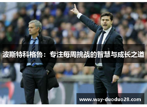 波斯特科格鲁:专注每周挑战的智慧与成长之道 波斯特科格鲁:专注每周挑战的智慧与成长之道