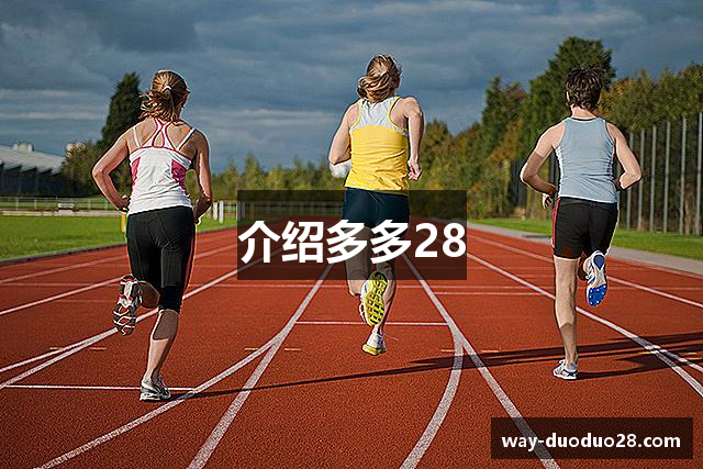 介绍多多28